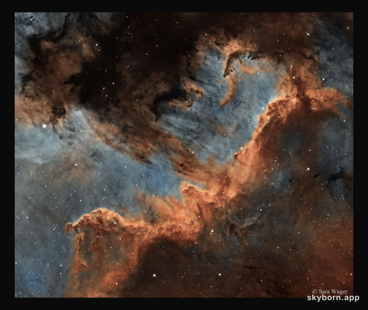 The Cygnus Wall of Star Formation