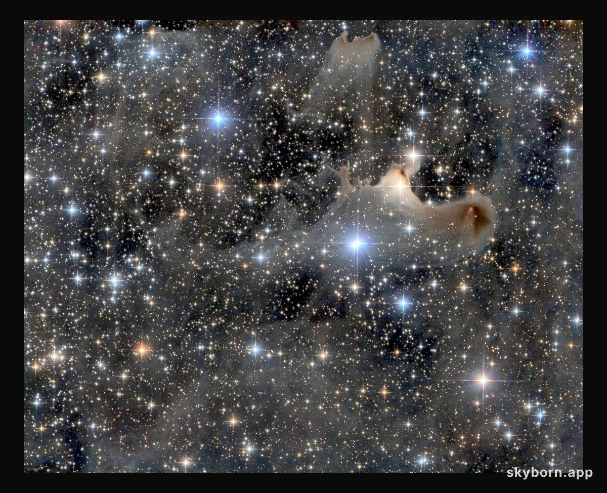 Haunting the Cepheus Flare