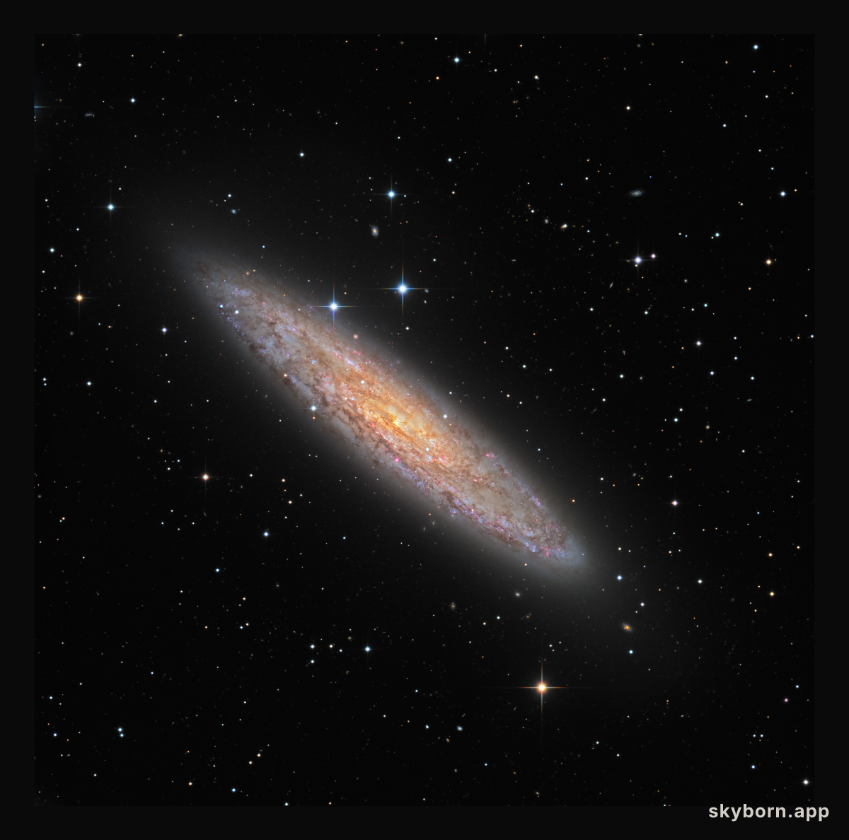 NGC 253: Dusty Island Universe