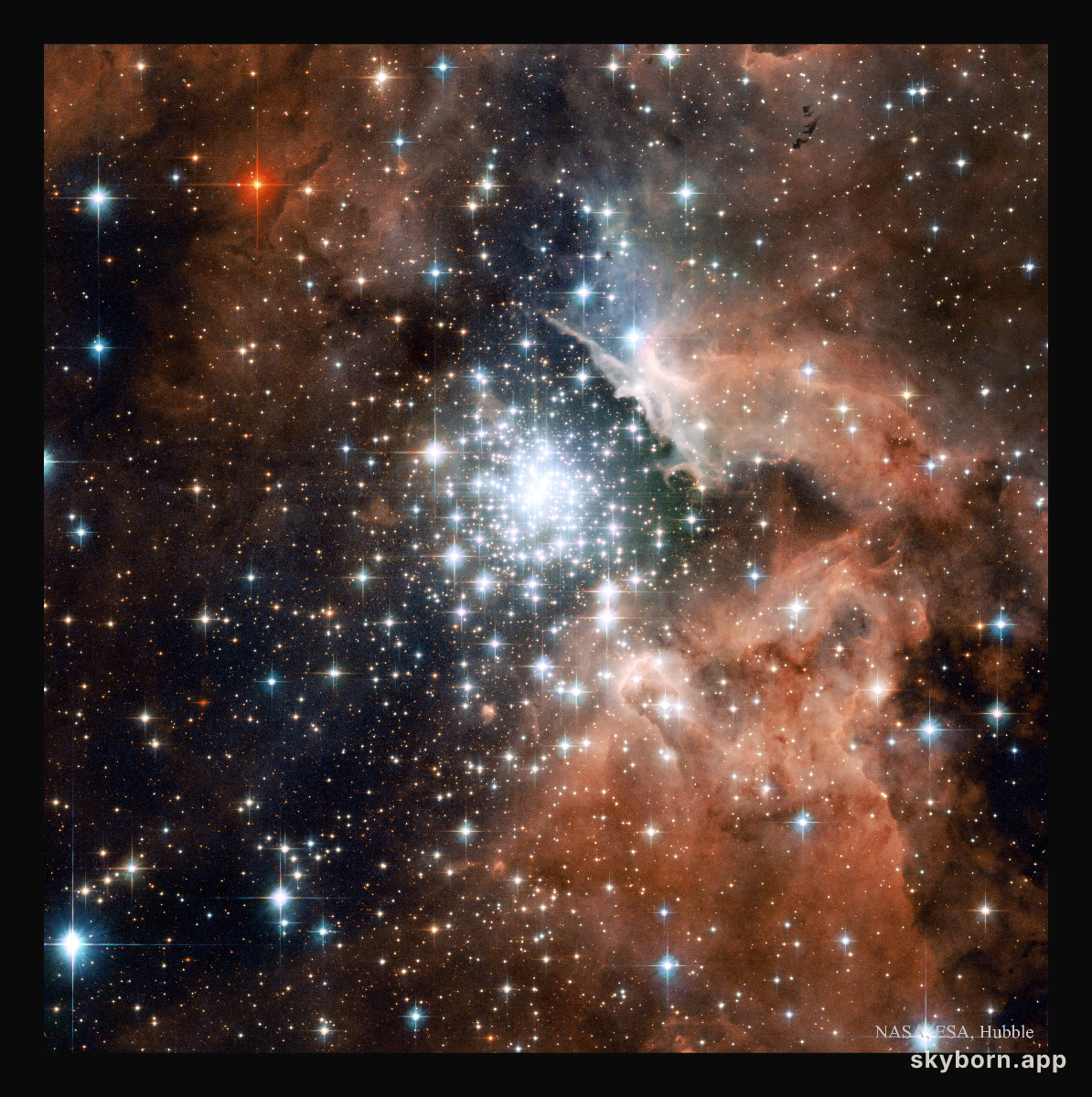 Starburst Cluster in NGC 3603