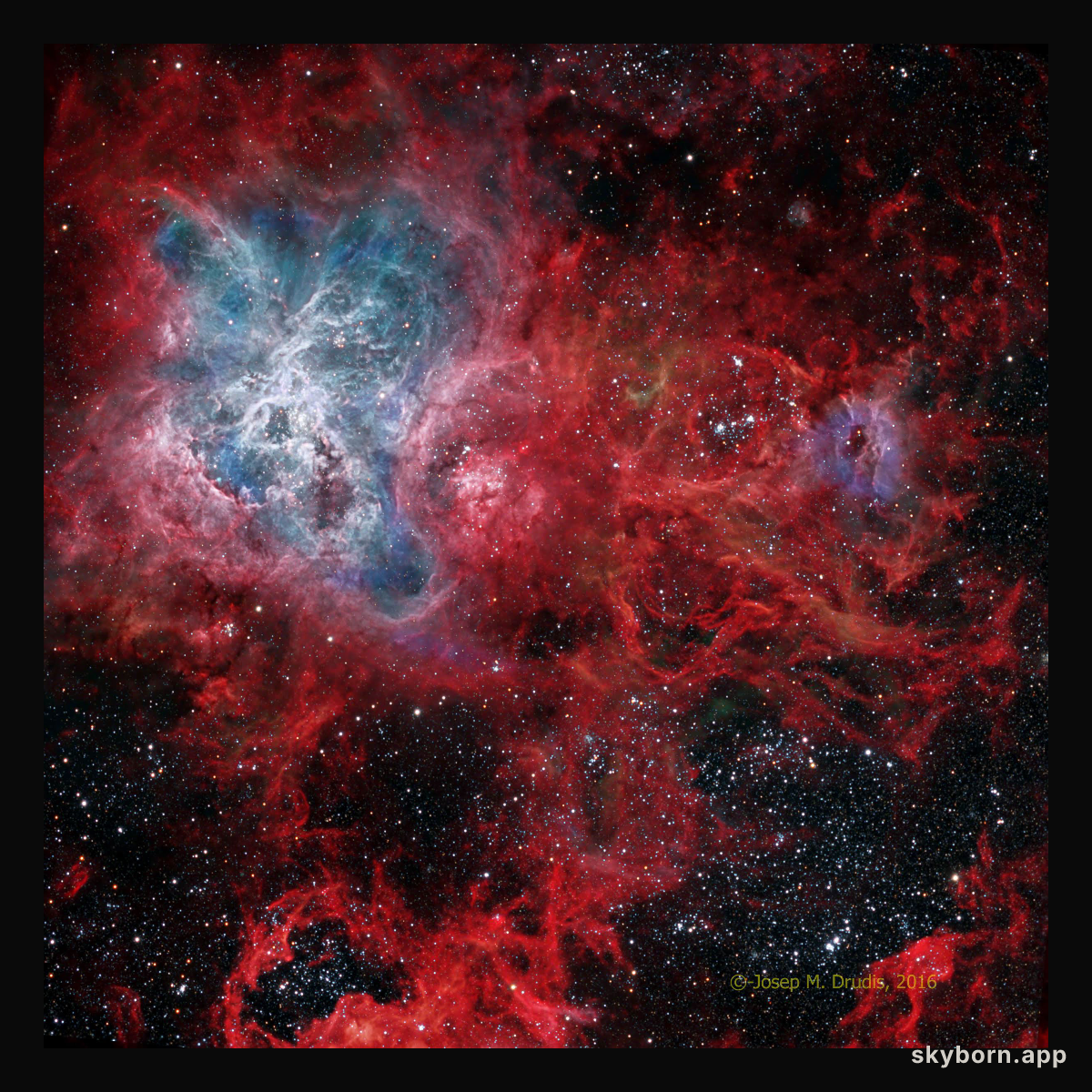 The Cosmic Web of the Tarantula Nebula
