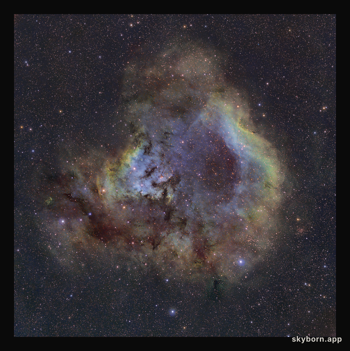 NGC 7822 in Cepheus