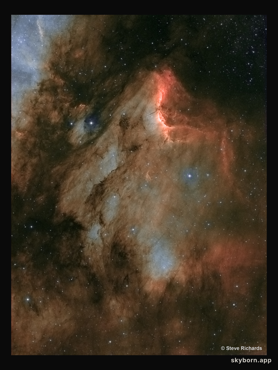 IC 5070: A Dusty Pelican in the Swan