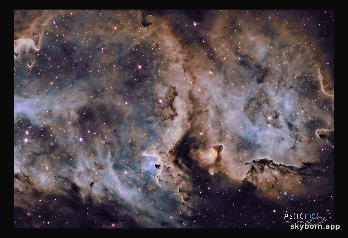 W5: The Soul of Star Formation