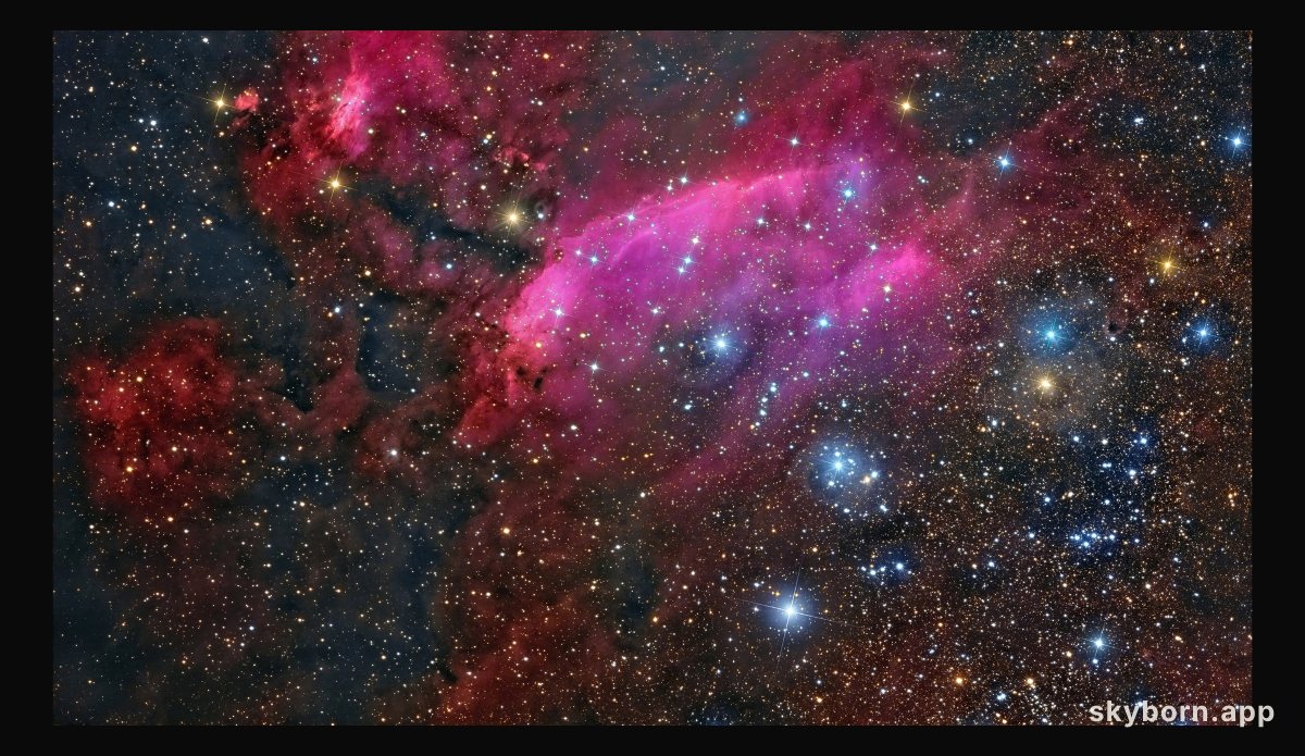 IC 4628: The Prawn Nebula