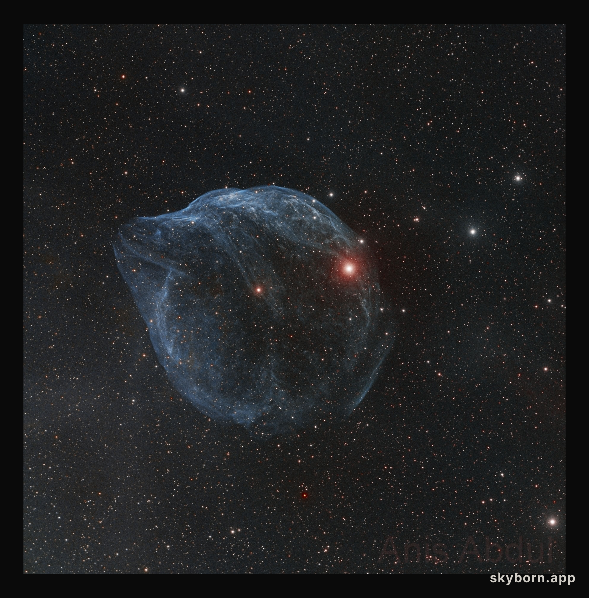 Sharpless 308: Star Bubble
