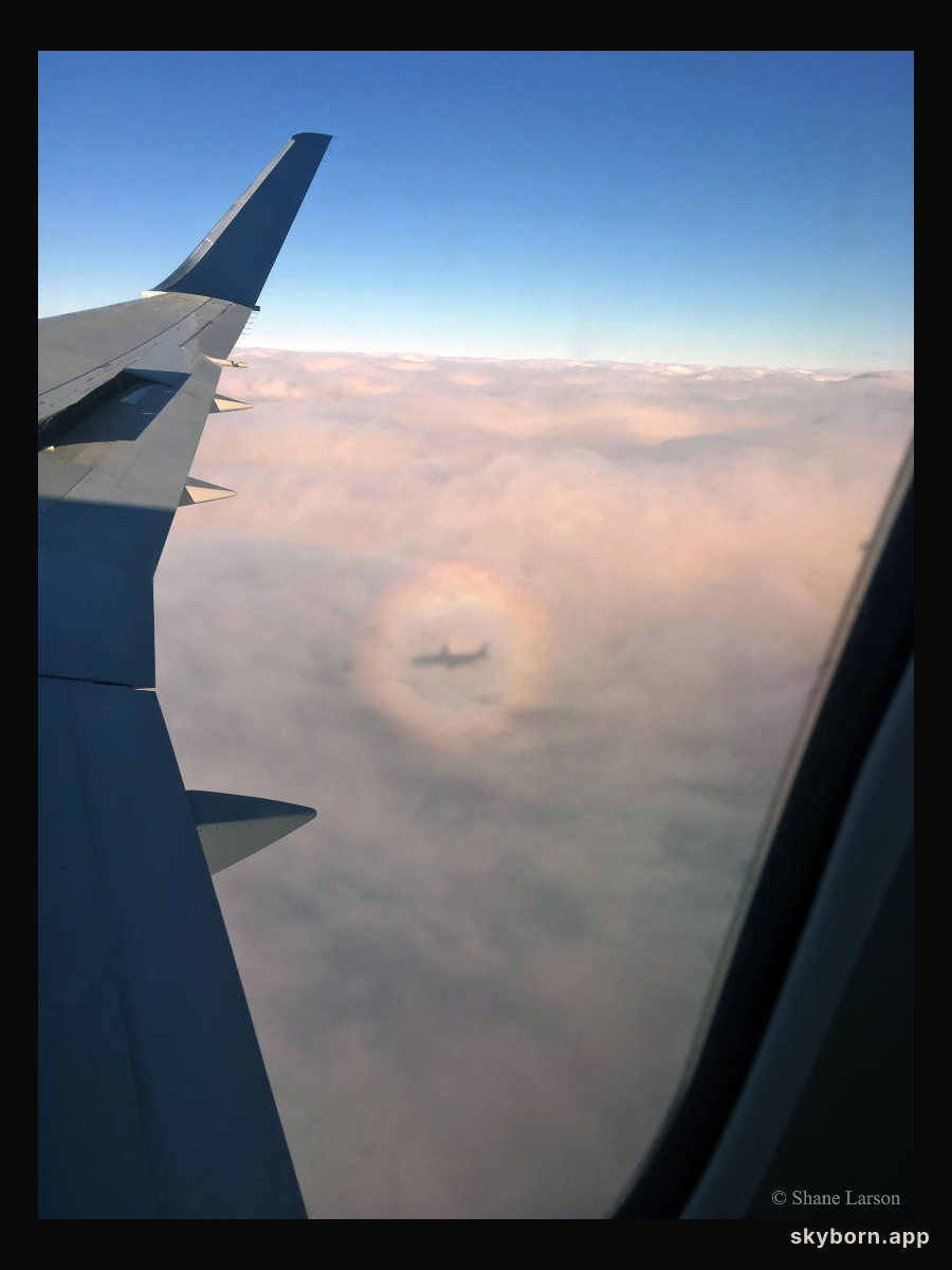 An Airplane Glory