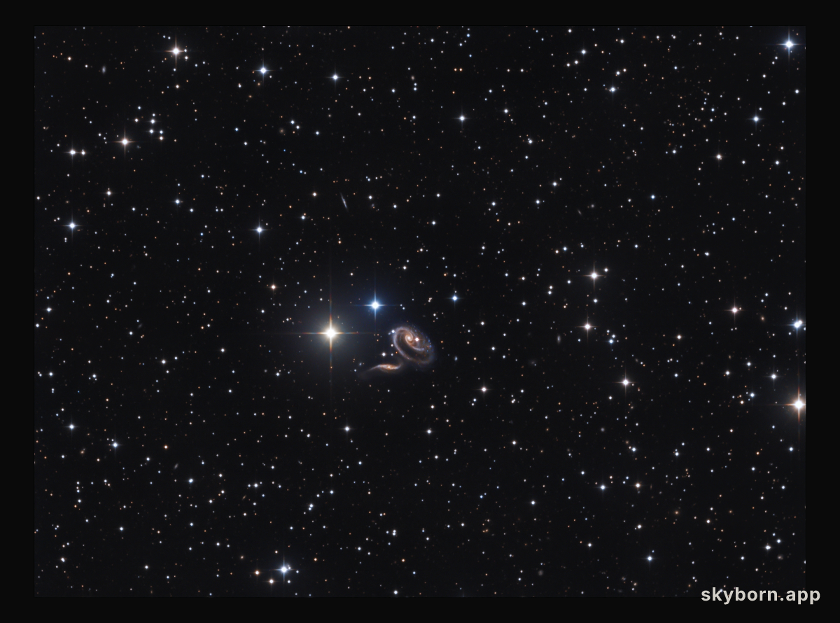 Peculiar Galaxies of Arp 273