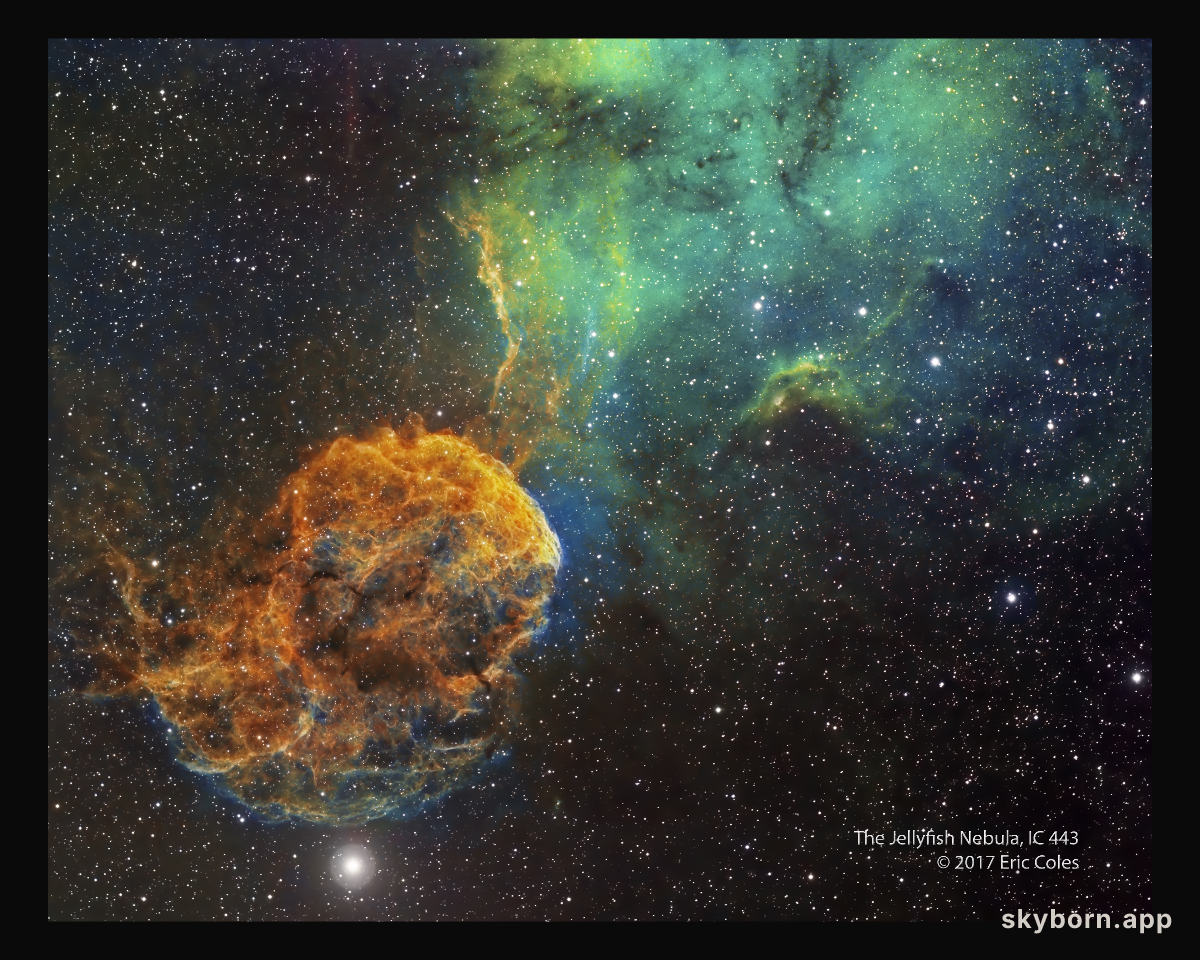 Sharpless 249 and the Jellyfish Nebula