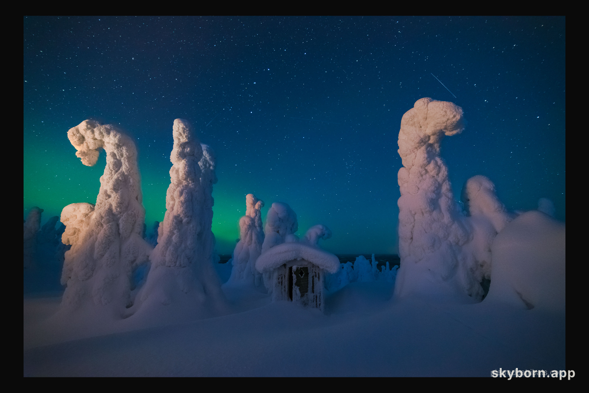 Sentinels of a Northern Sky