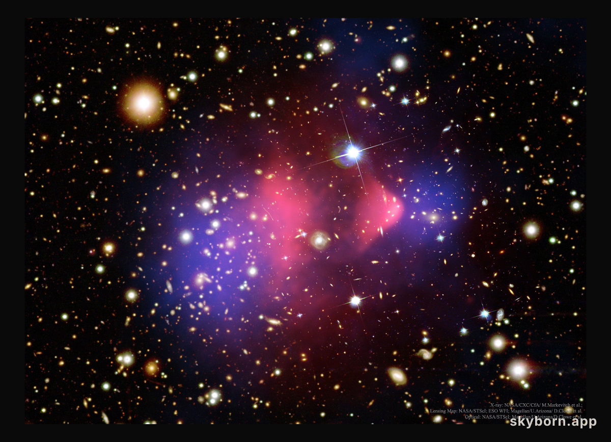 The Matter of the Bullet Cluster