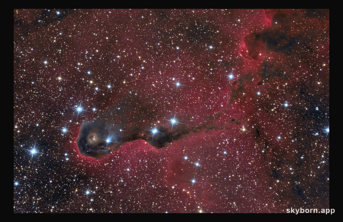 The Elephant's Trunk Nebula in Cepheus