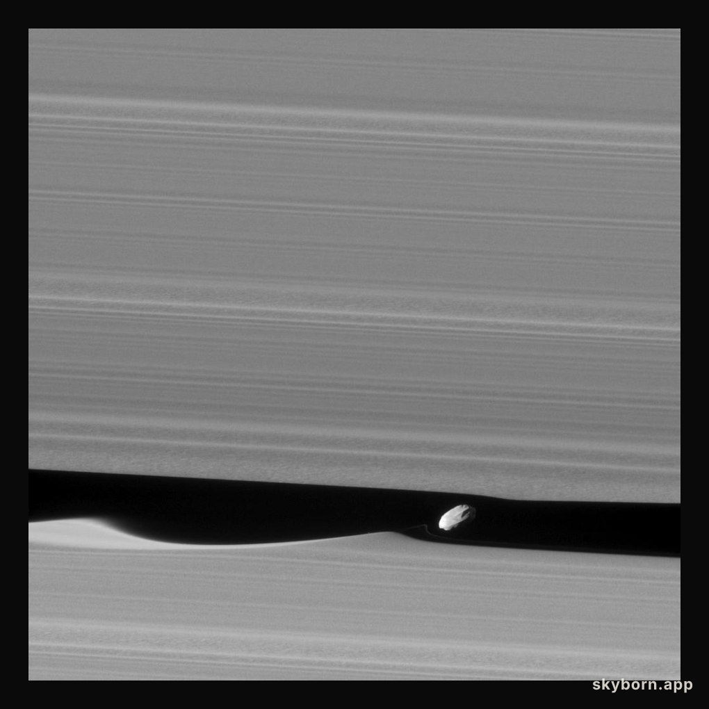 Daphnis the Wavemaker
