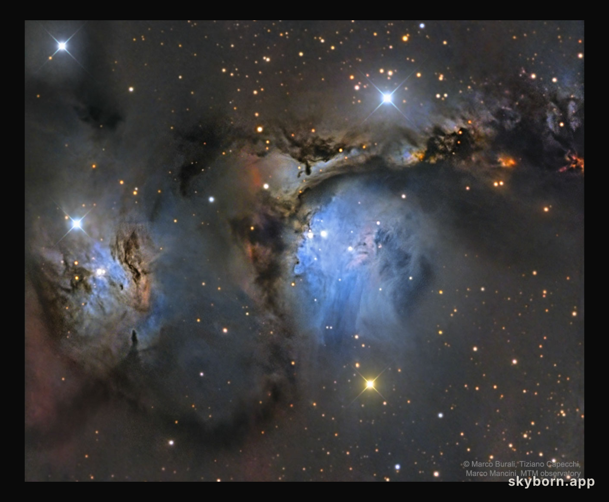 M78 and Orion Dust Reflections
