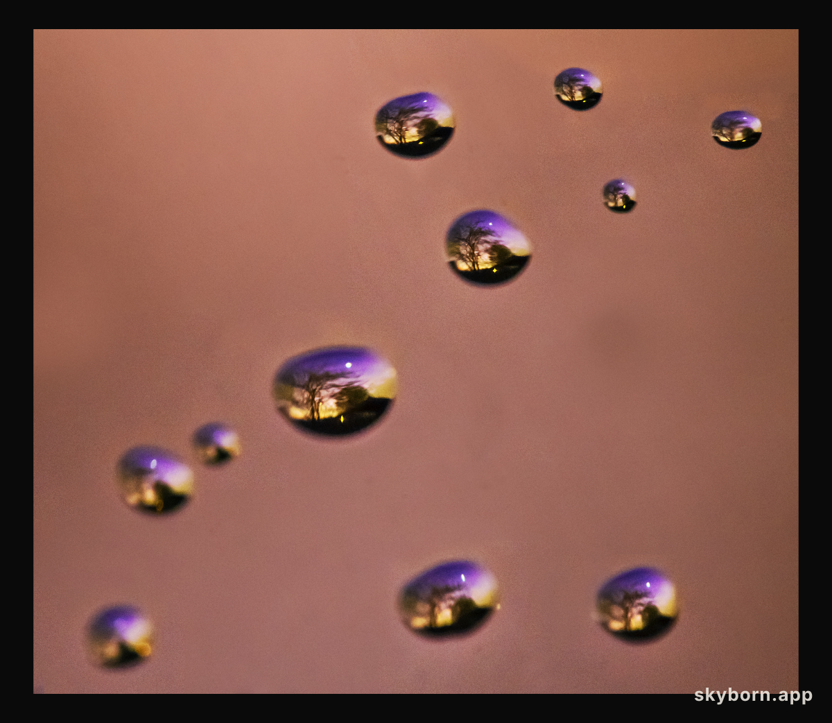 Venus Through Water Drops