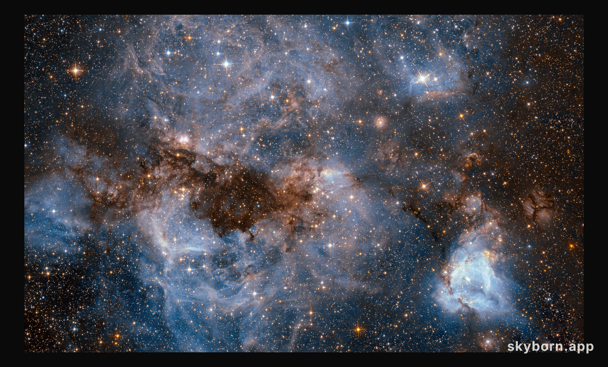 N159 in the Large Magellanic Cloud