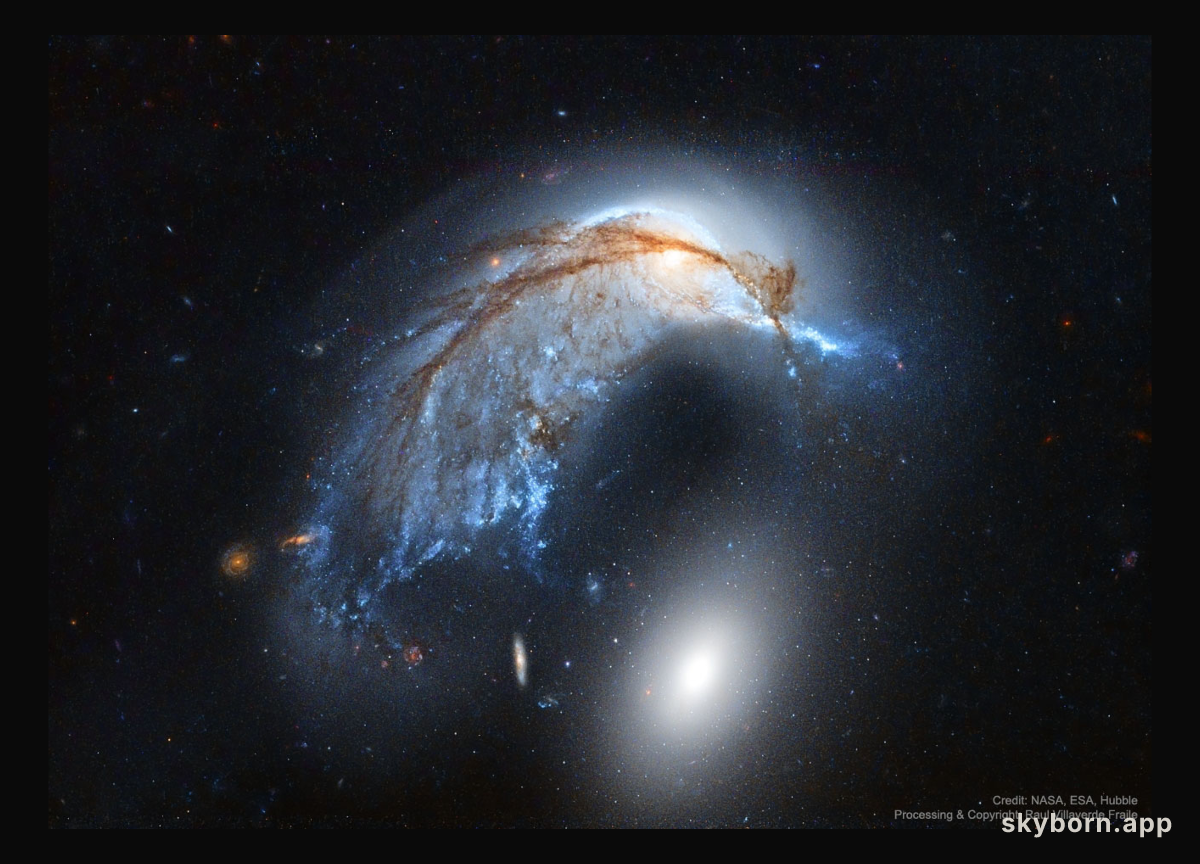 The Porpoise Galaxy from Hubble