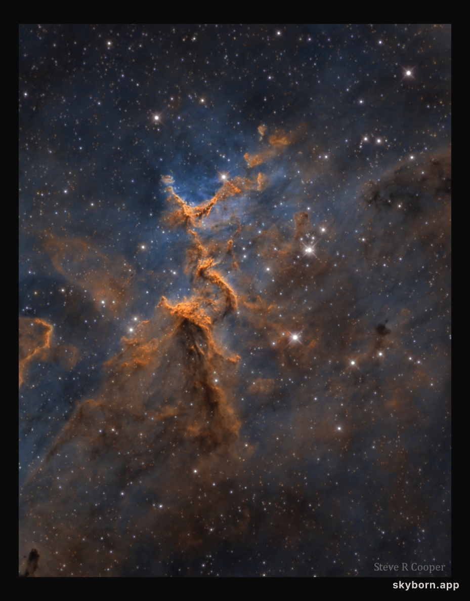 Melotte 15 in the Heart