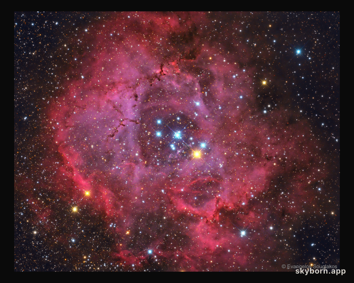 The Rosette Nebula