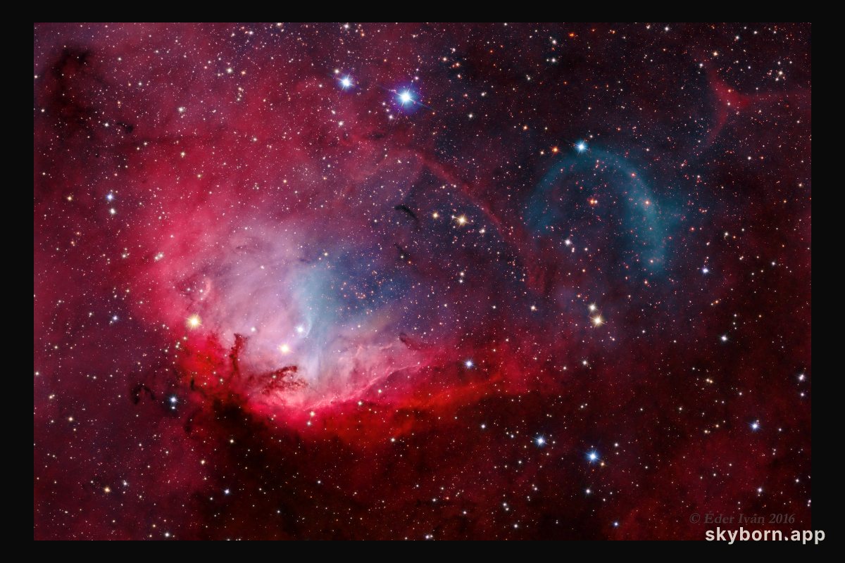 The Tulip and Cygnus X-1