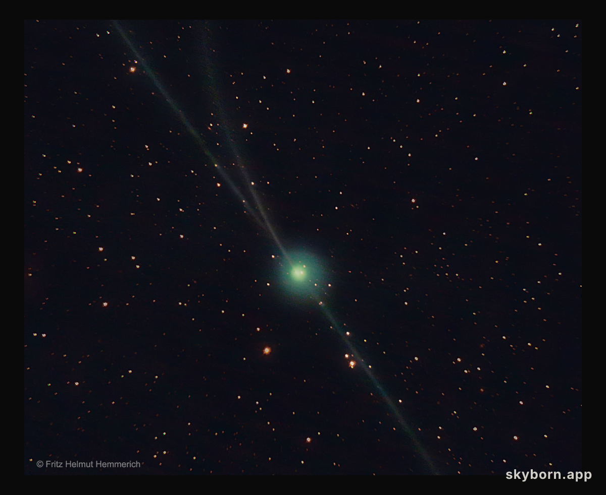 Almost Three Tails for Comet Encke