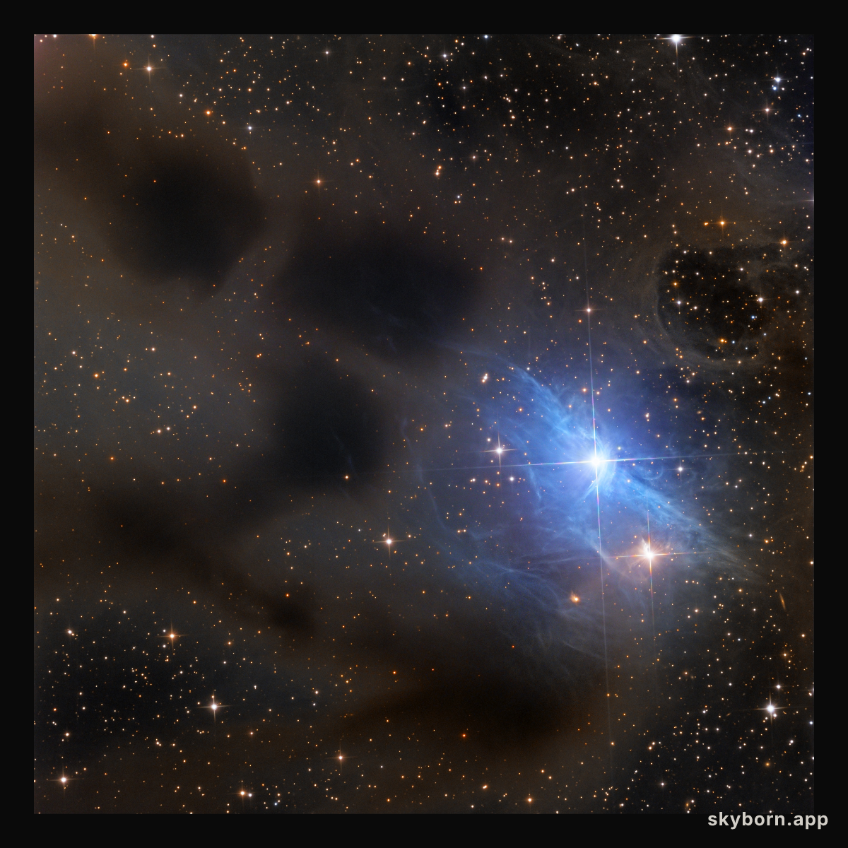 Reflections on vdB 31