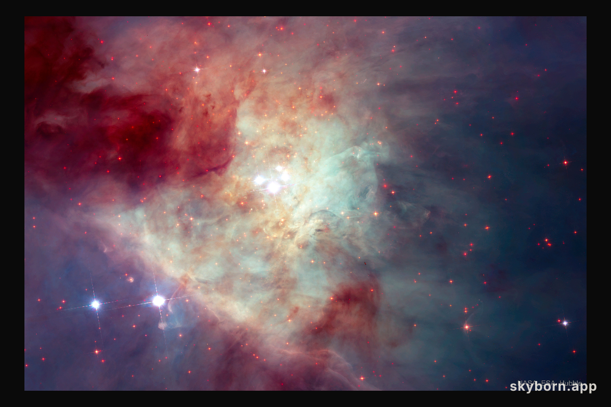 Fast Stars and Rogue Planets in the Orion Nebula