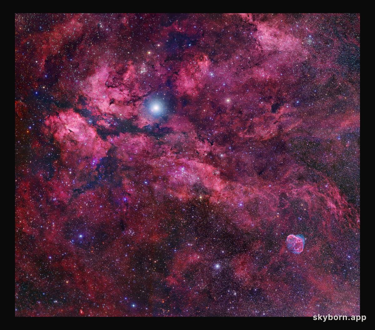 Central Cygnus Skyscape