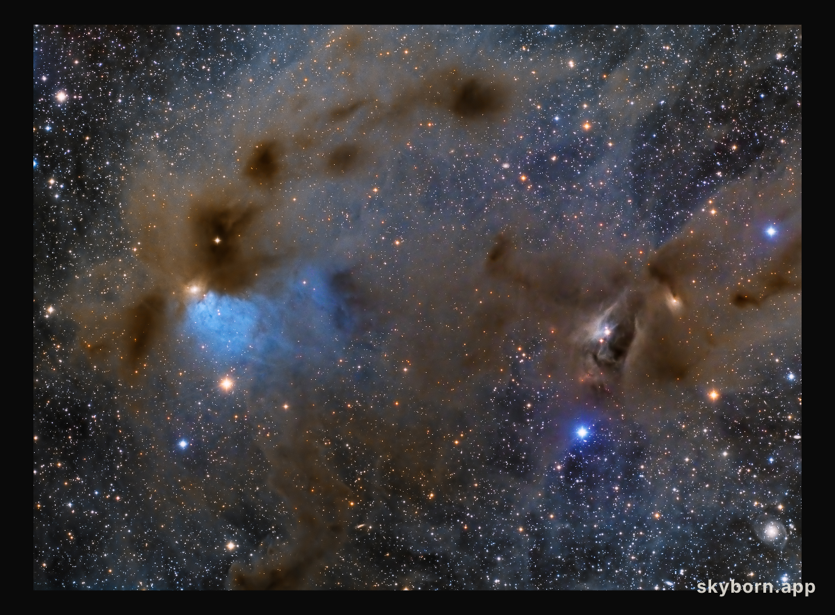 Young Stars and Dusty Nebulae in Taurus