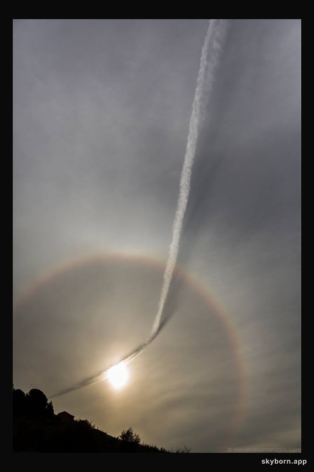 Plane Contrail and Sun Halo