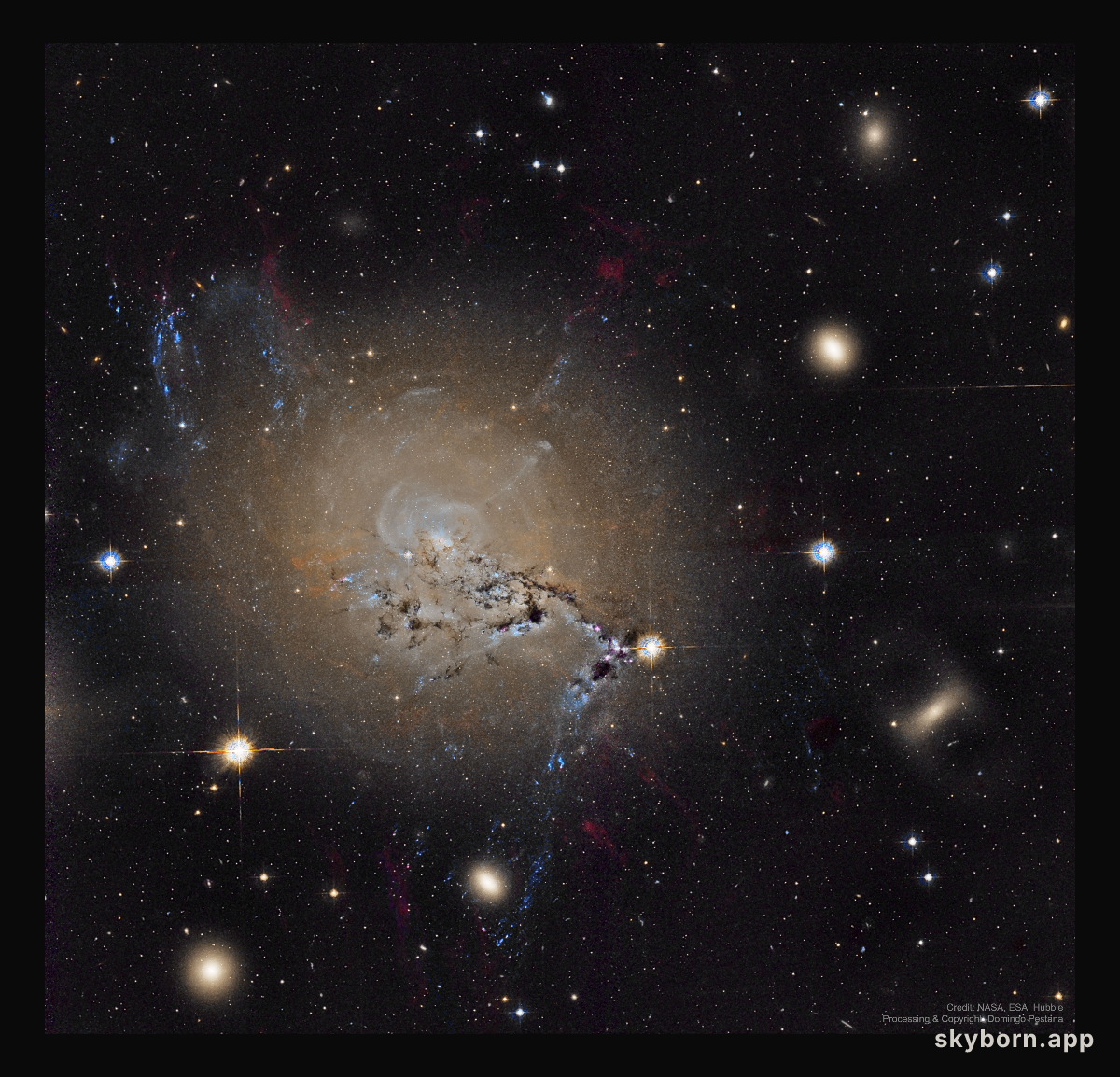 Filaments of Active Galaxy NGC 1275