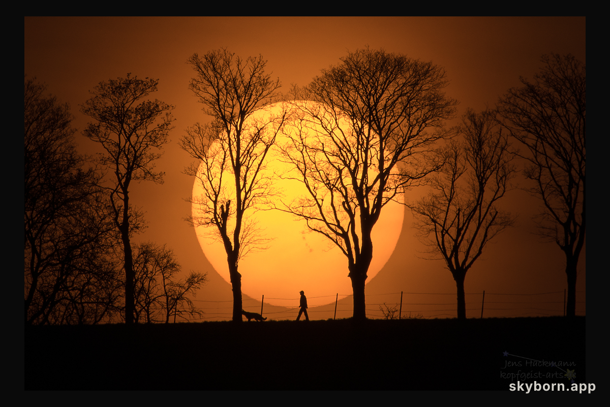 Man, Dog, Sun
