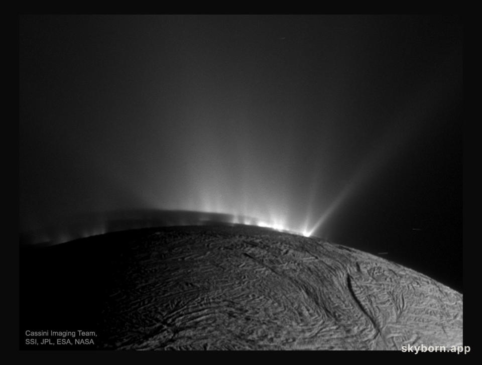 Life-Enabling Plumes above Enceladus