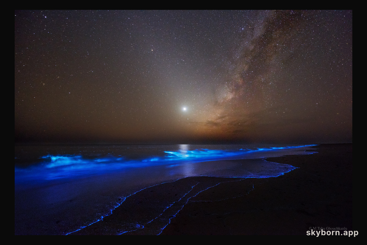 Night Glows