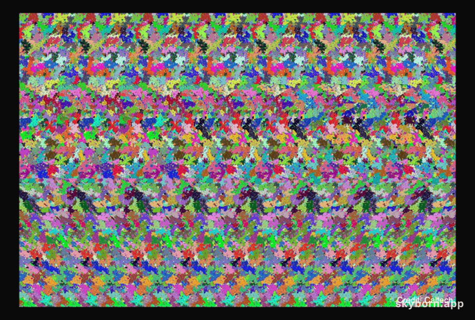 The Holographic Principle