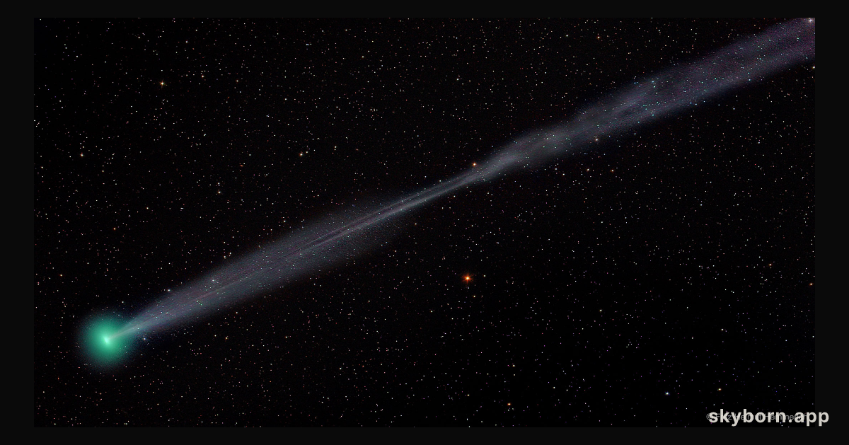 A Split Ion Tail for Comet Lovejoy E4
