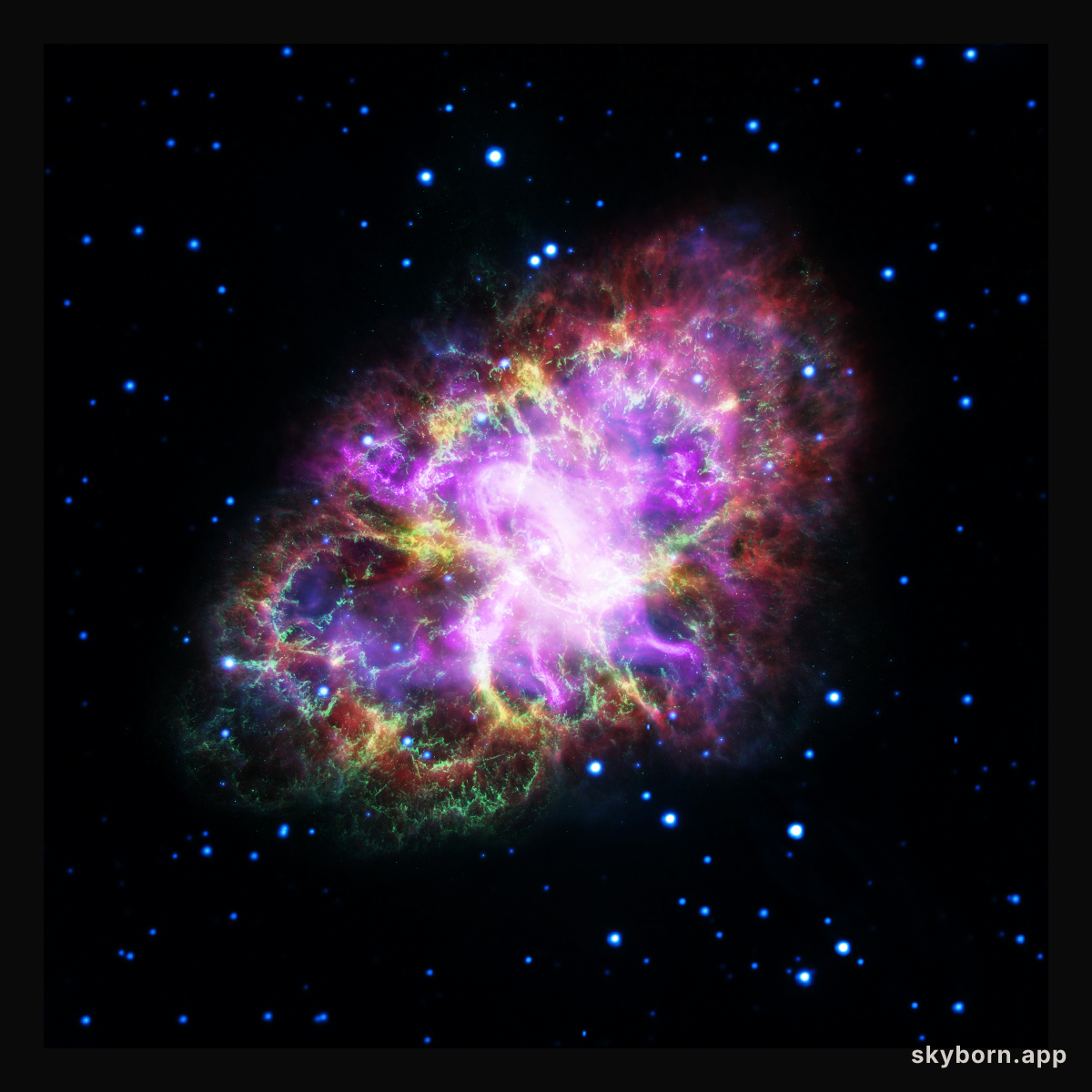 The Multiwavelength Crab