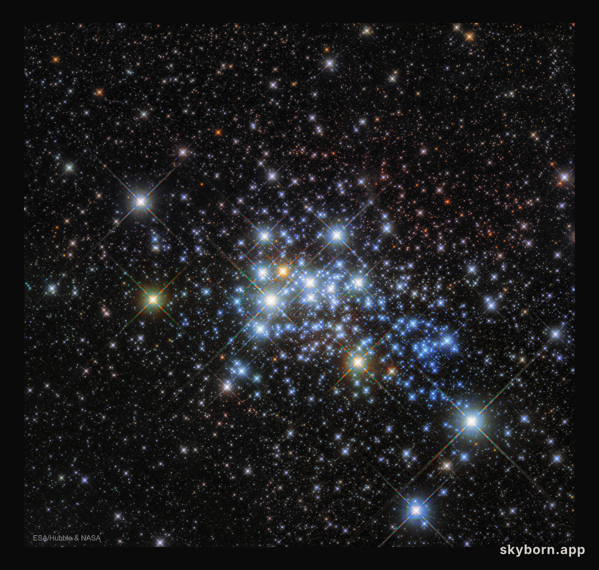 The Massive Stars in Westerlund 1