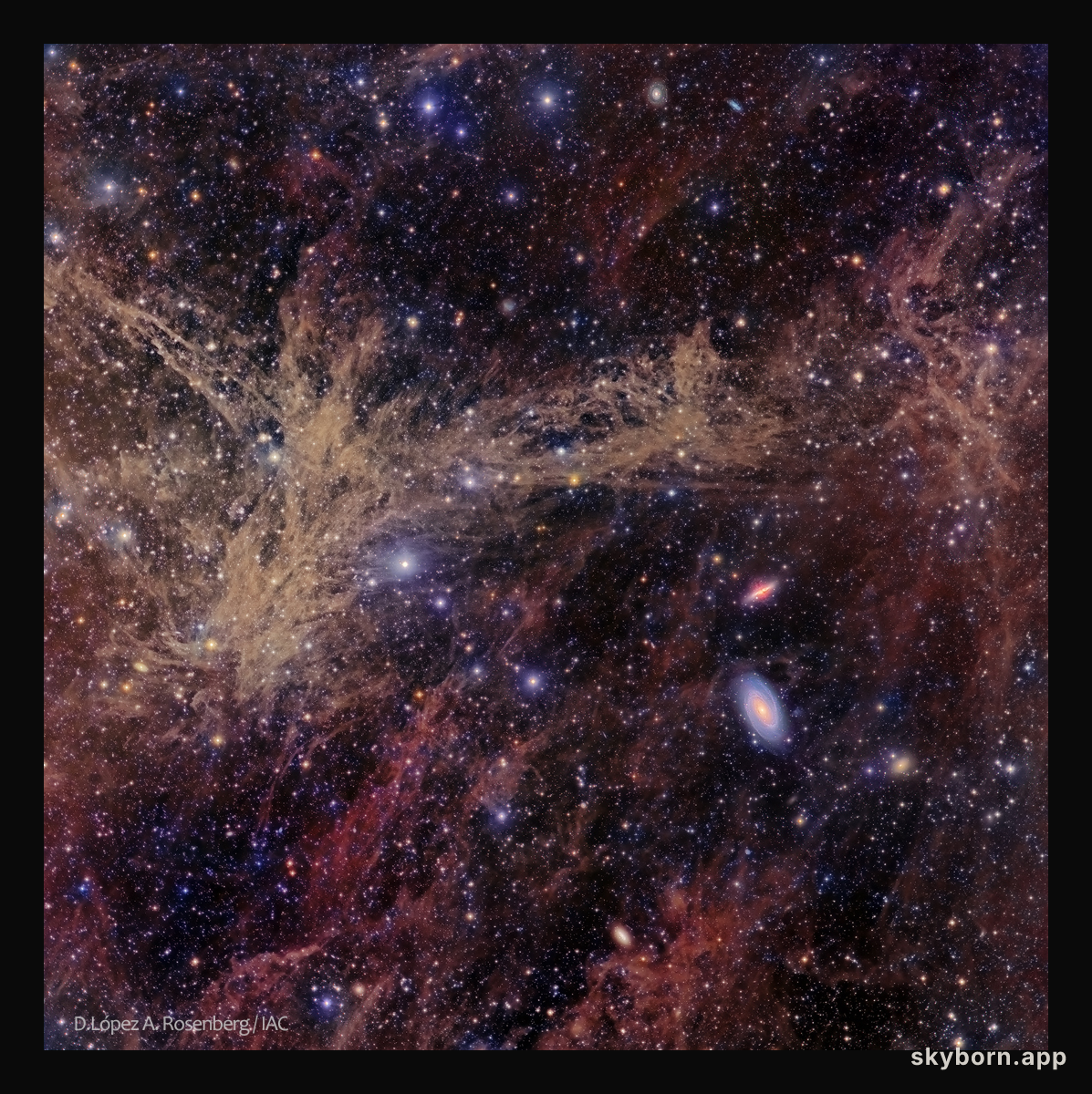 The M81 Galaxy Group through the Integrated Flux Nebula