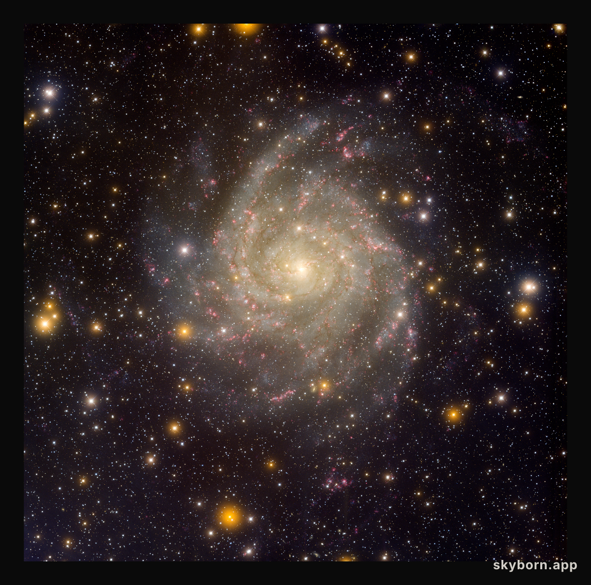 Hidden Galaxy IC 342