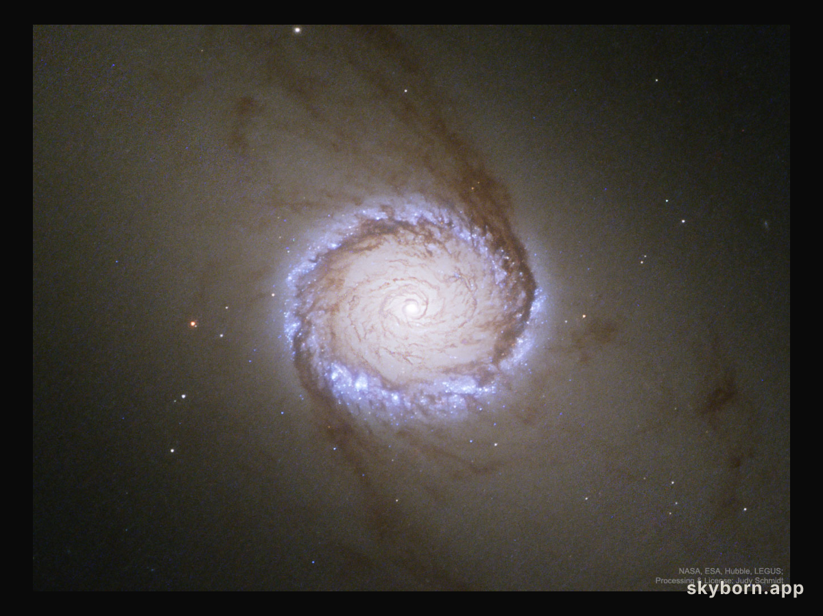 Spiral Galaxy NGC 1512: The Nuclear Ring