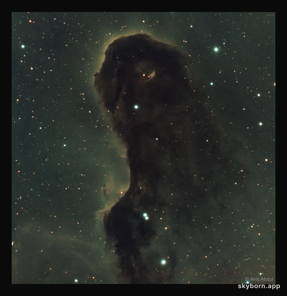 The Dust Monster in IC 1396