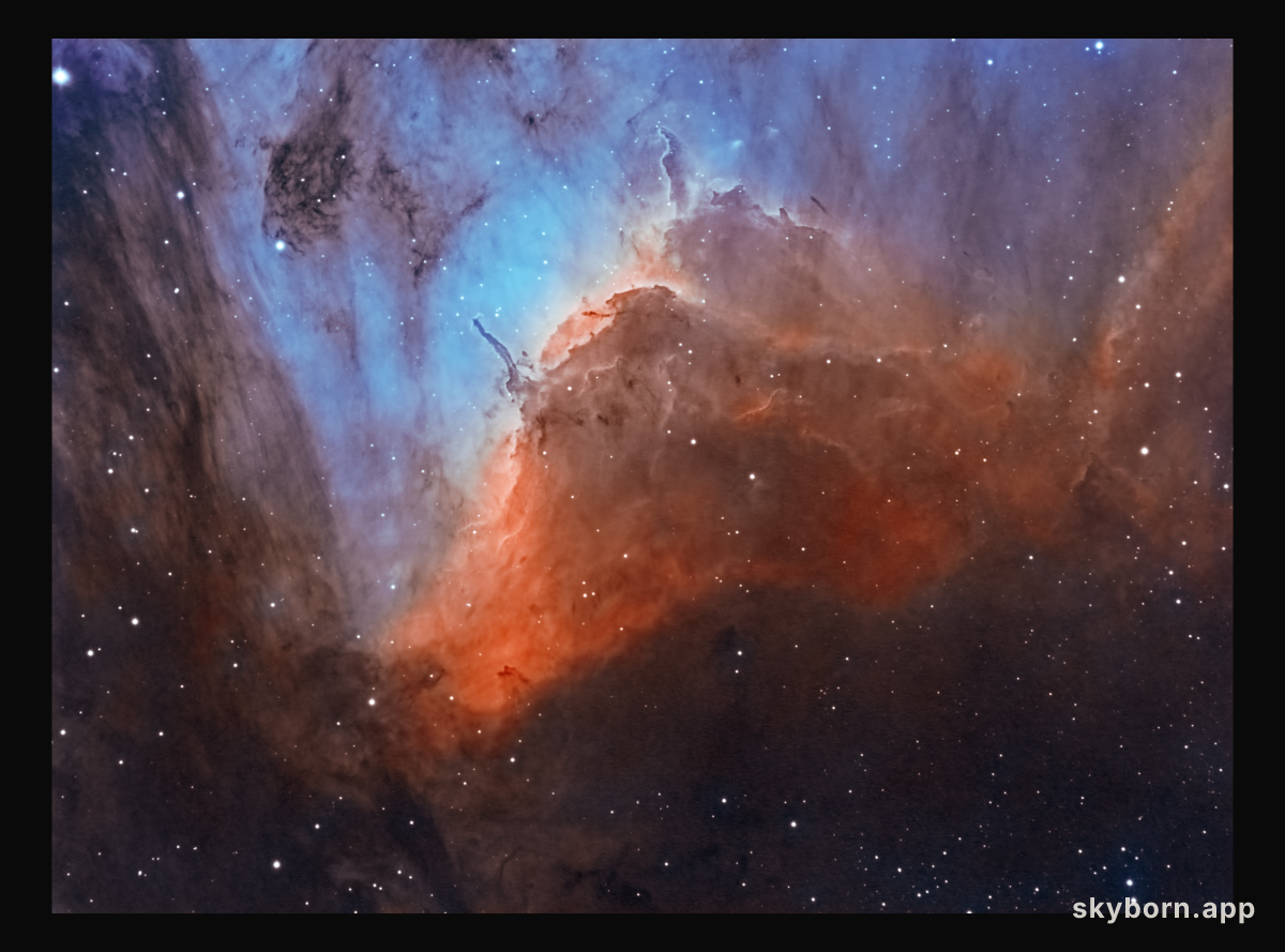 Pelican Nebula Close-up