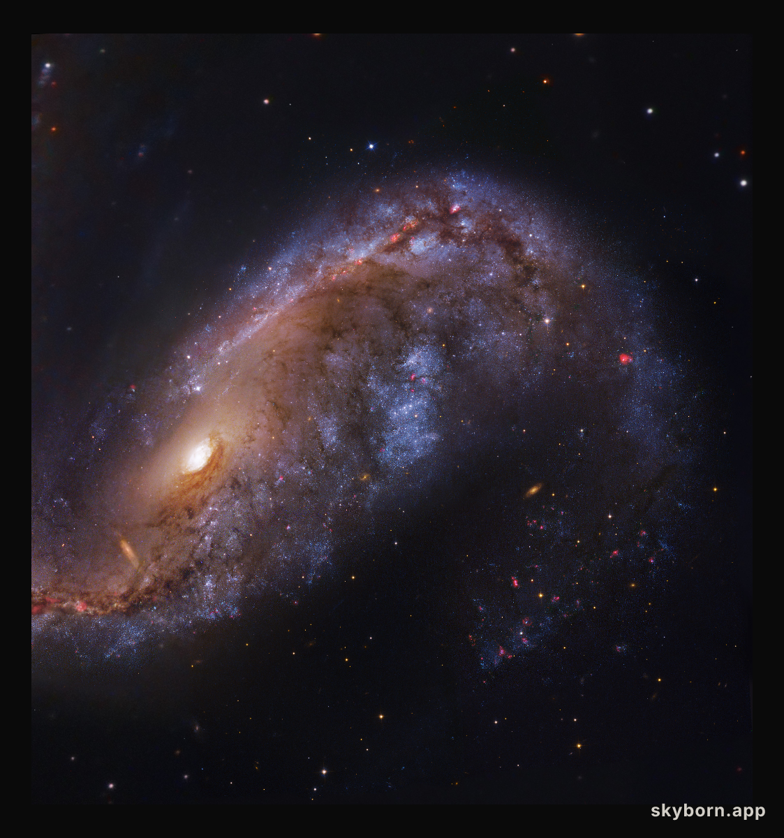 NGC 2442: Galaxy in Volans