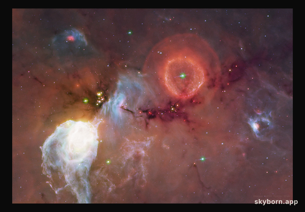 Massive Shell-Expelling Star G79.29+0.46