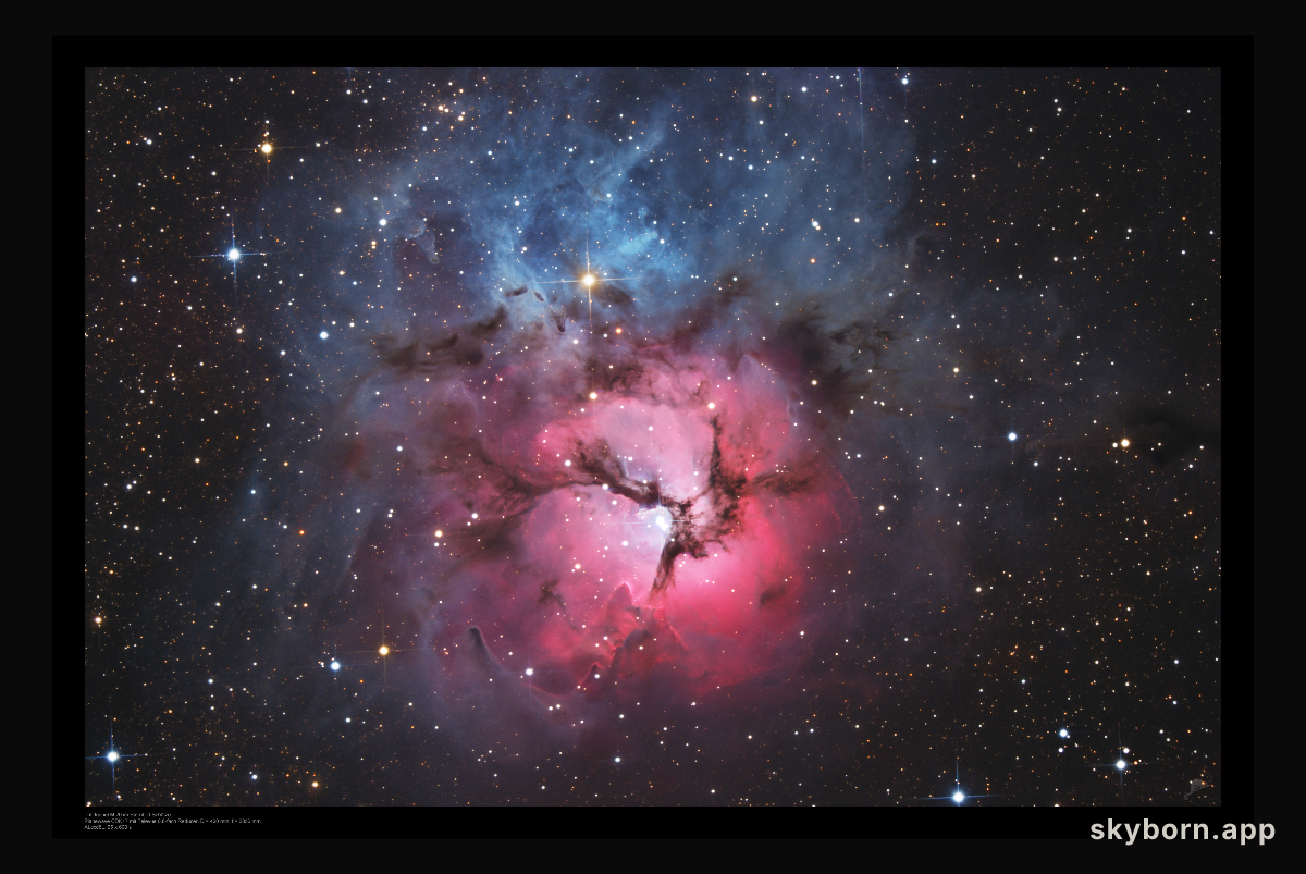 A Beautiful Trifid