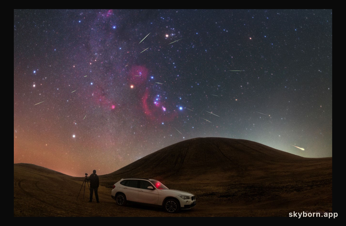 Orionid Meteors from Orion