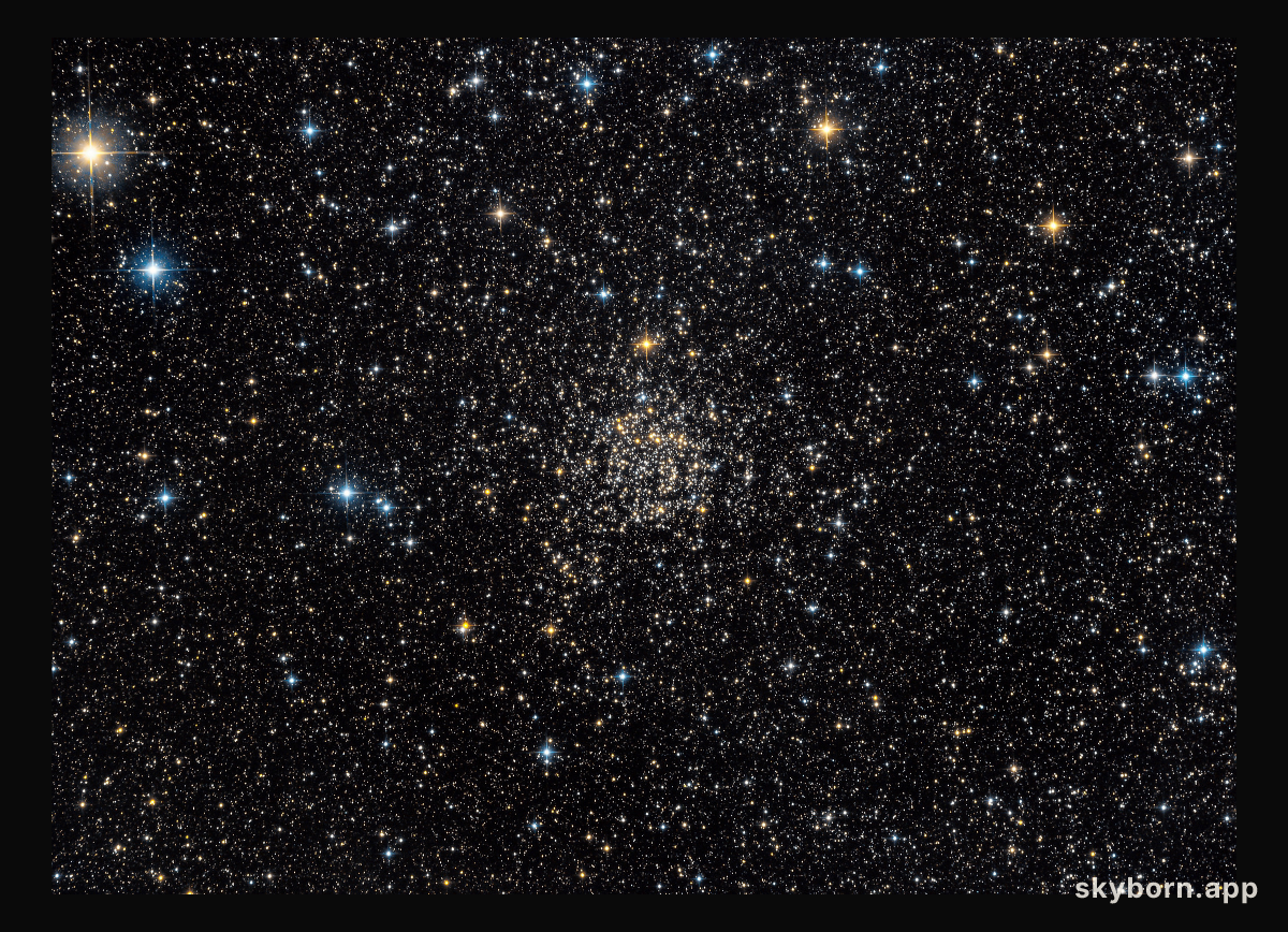 NGC 7789: Caroline's Rose