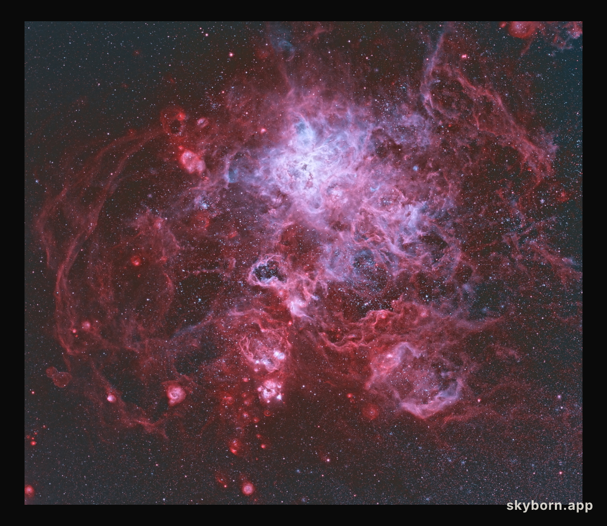 The Tarantula Nebula