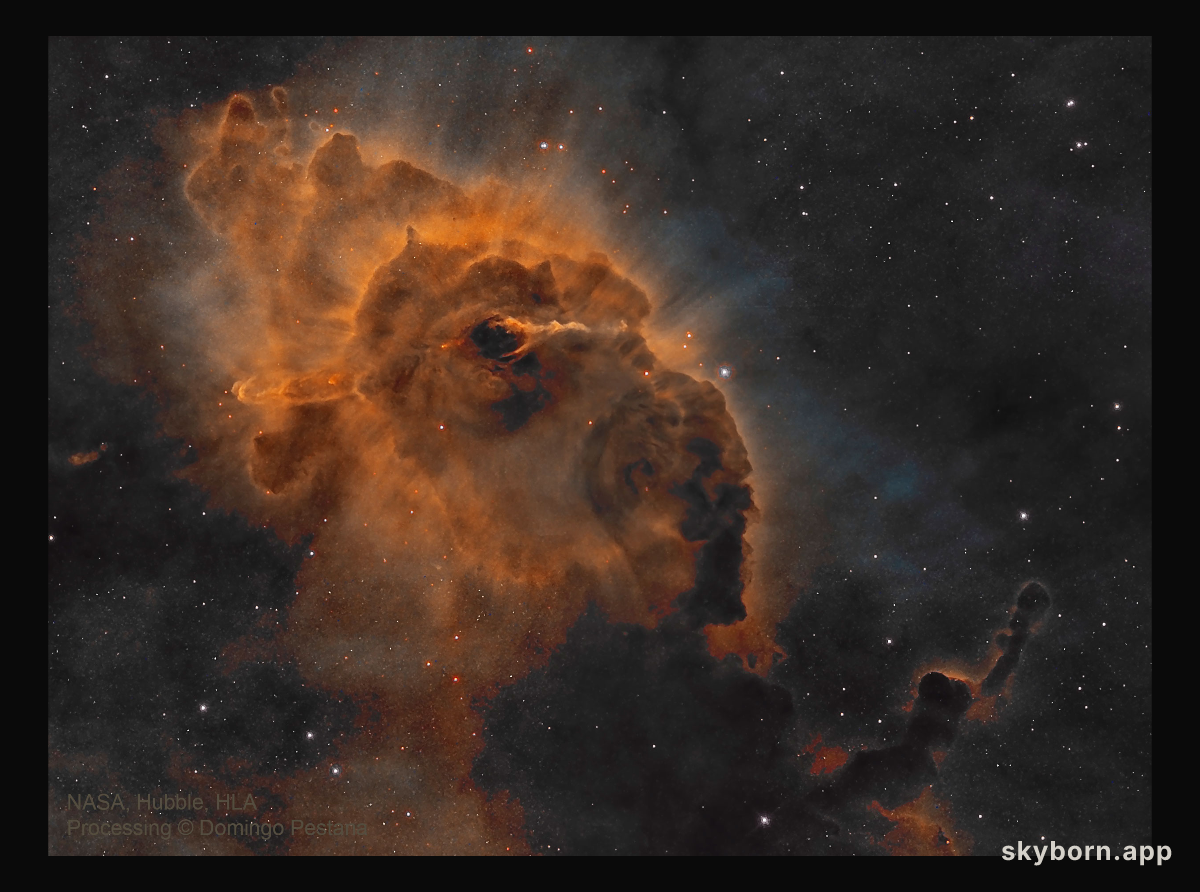 HH 666: Carina Dust Pillar with Jet